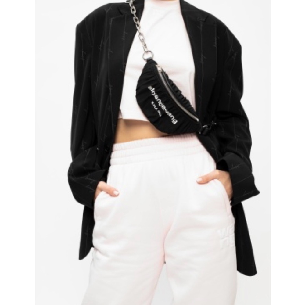 Alexander Wang-Black Mini Ruched Attica Fanny Pack/Crossbody